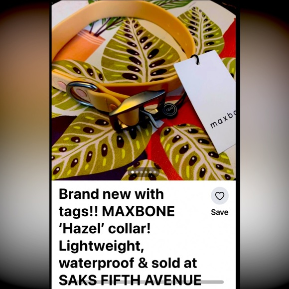 Brand new MAXBONE dog collar! SOLD at SAKS FIFTH AVENUE!! AVAILABLE here! - Picture 1 of 6